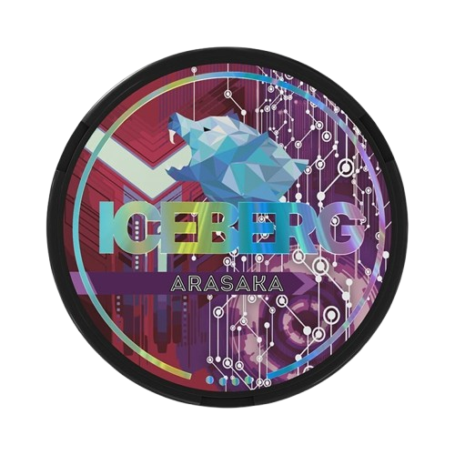 Iceberg Arasaka